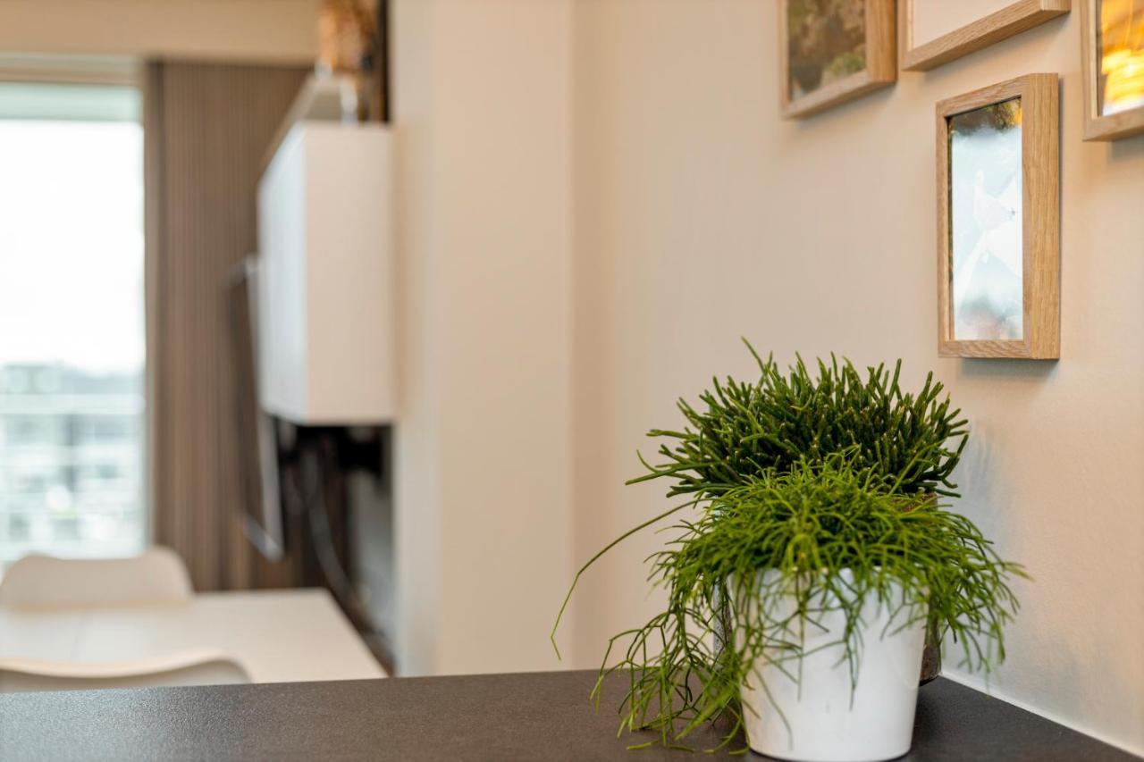 Ruim Appartement Aan De Jachthaven Blankenberge Ngoại thất bức ảnh